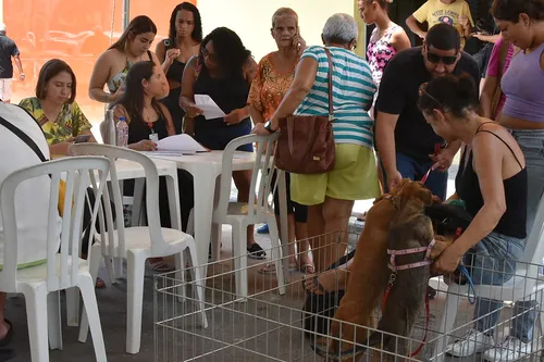 Sete cachorros e três gatos estão de casa nova