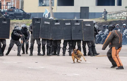 Aparato de segurança será reforçado no G20