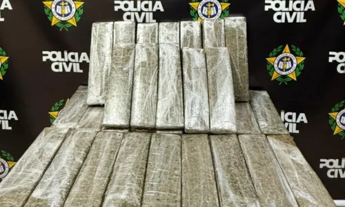 Agentes apreenderam 37 tabletes de maconha divididos em duas malas