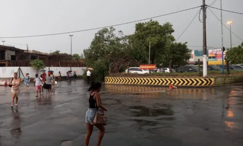 Queda de árvore fecha acesso ao Terminal de Niterói