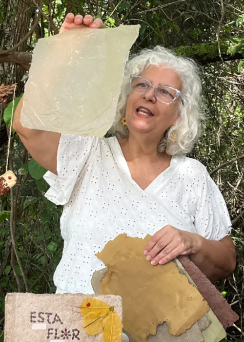 As folhas usadas não foram arrancadas da natureza, mas recolhidas, segundo a autora