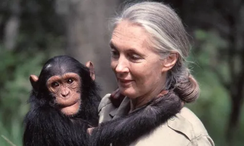 Segundo o Instituto Jane Goodall, a cientista faleceu de causas naturais