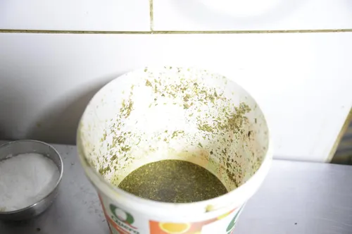 Fiscais flagraram sujeira e presença de pragas