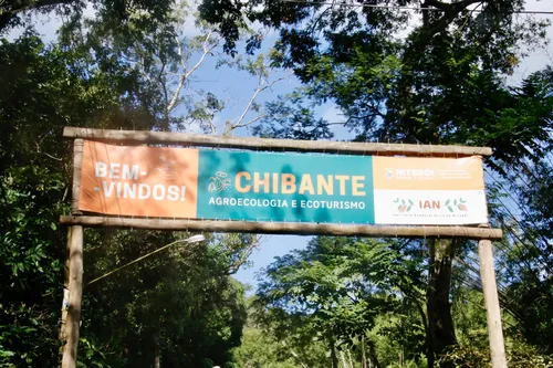 Caso aconteceu na Estrada Chibante, em Pendotiba