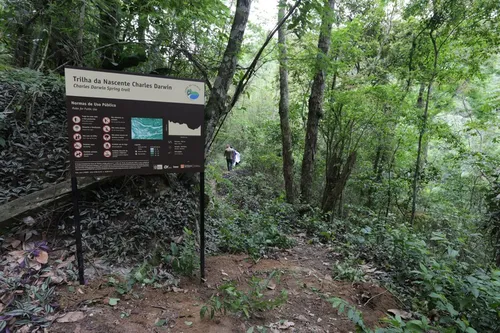 Trilha no Parque Estadual da Serra da Tiririca