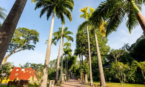 Bioparque foi reaberto nesta quarta (21) após casos de gripe aviária em animais no local