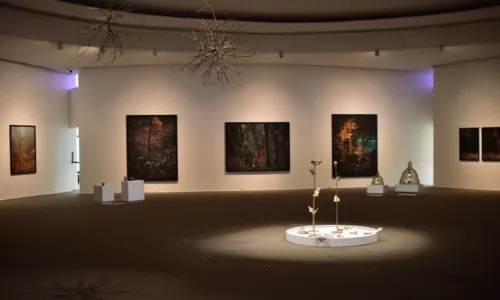 Exposição fica no MAC até novembro deste ano