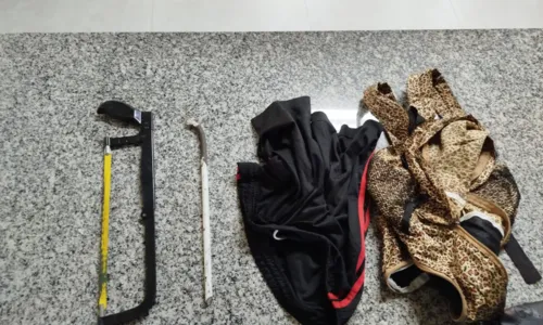 Com o acusado, foram apreendidos um arco de serra e uma mochila