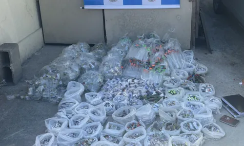 Entre os materiais encontrados estavam mais de 1.900 pinos de cocaína