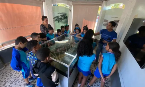 O museu oferece visitas guiadas por estudantes da Uerj-São Gonçalo