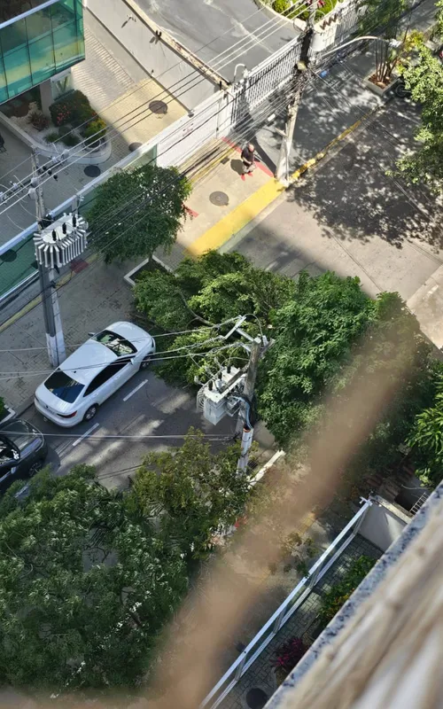 Árvore caiu na tarde deste sábado (29), em Icaraí, Zona Sul de Niterói