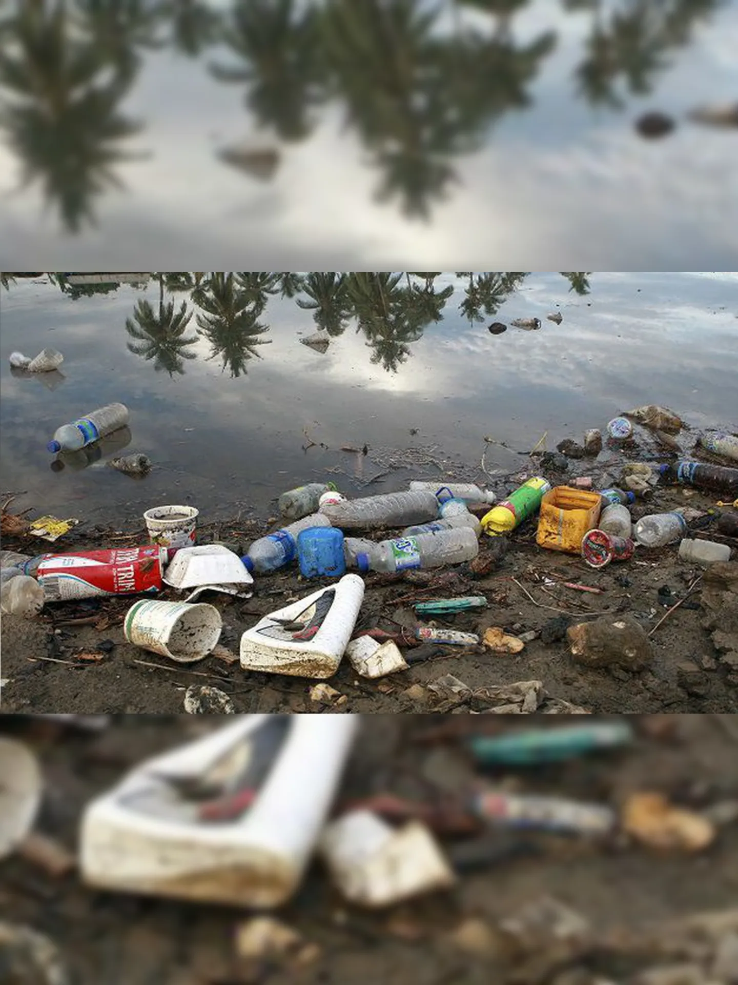 Cerca de 22 milhões de toneladas de plásticos vazam para o meio ambiente a cada ano em todo o mundo,