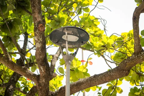 O poste fica localizado atrás de um ponto de ônibus