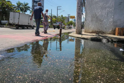 Lojistas alegam que mau cheiro e mosquitos têm espantado a clientela.