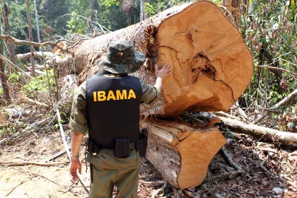 Ibama abre mais de mil vagas para todos os níveis