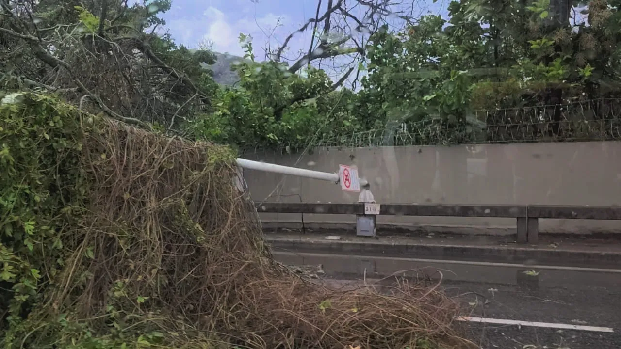 Queda de árvore e de um poste de energia interditaram o ponto de ônibus do Mocanguê.