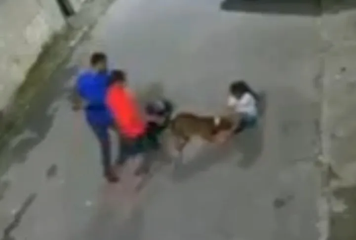 Cão agarrou perna da criança de 10 anos. Ela segue internada no hospital Souza Aguiar