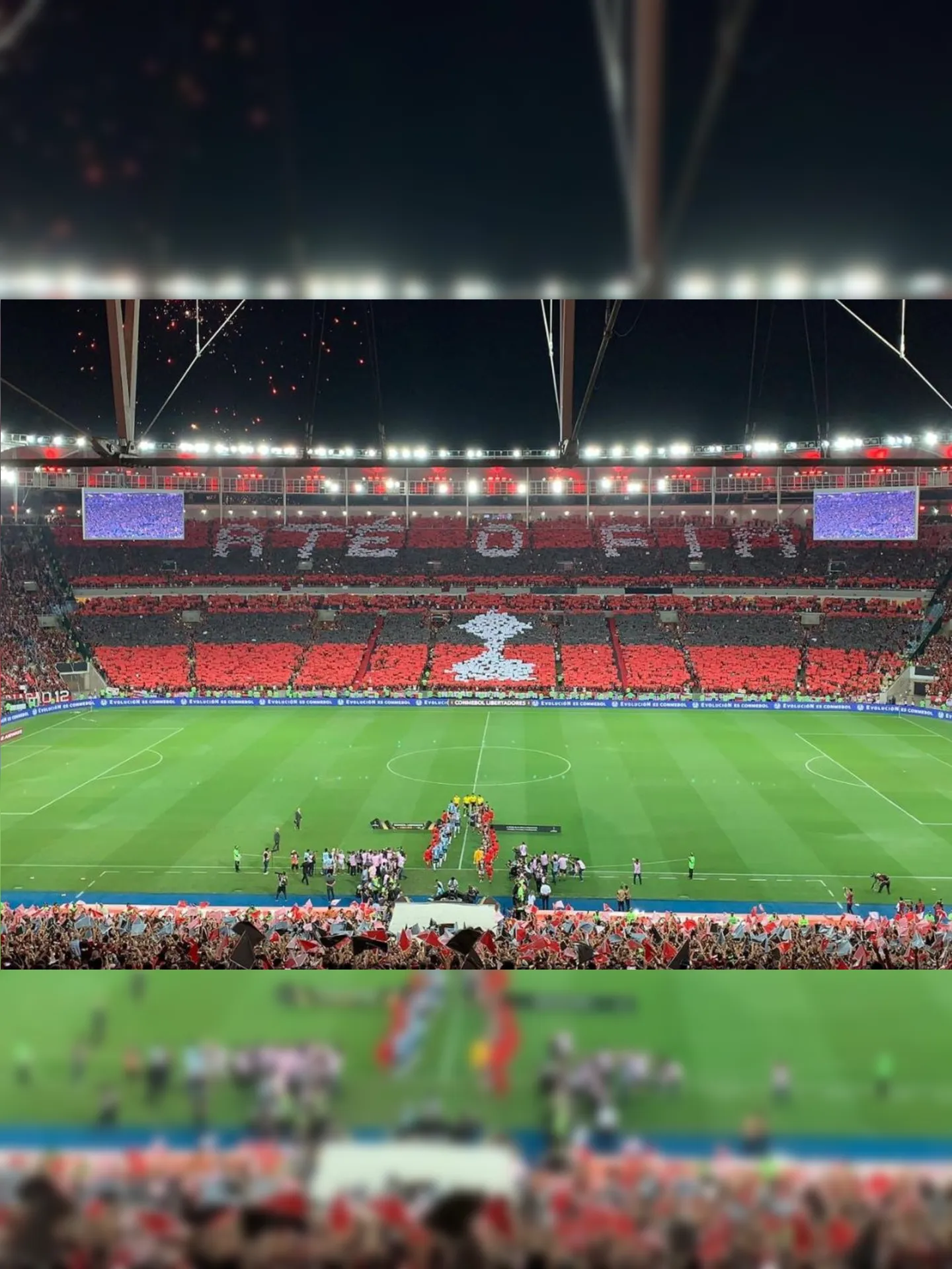 Flamengo continua soberano na liderança entre as maiores torcidas do Brasil