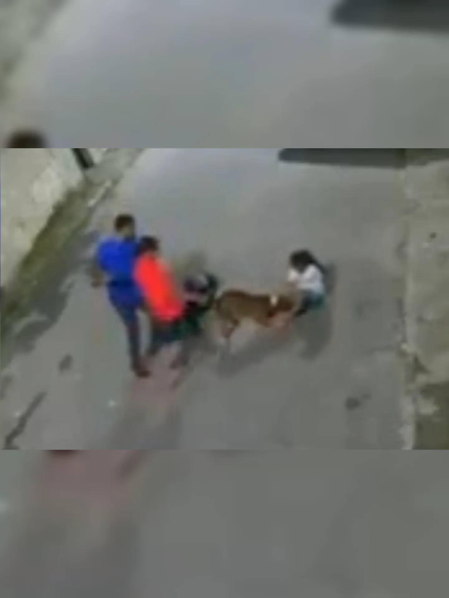 Cão agarrou perna da criança de 10 anos. Ela segue internada no hospital Souza Aguiar