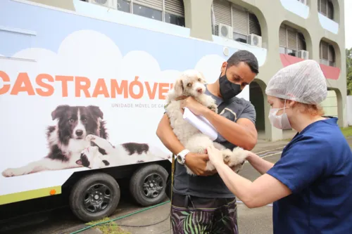 Imagem ilustrativa da imagem Niterói promove consulta pública para castração gratuita de animais