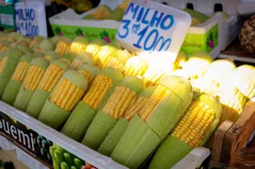 Milho cozido é uma das comidas típicas de Festa Junina