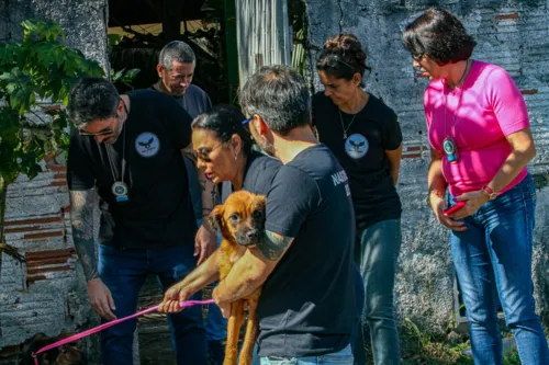 Operação contra maus tratos foi realizada nesta sexta-feira e resgatou dois cachorros e dois jabutis em situação de abandono