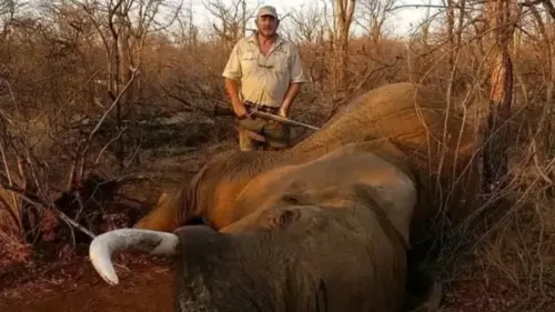 Homem é conhecido por matar animais de grande porte.