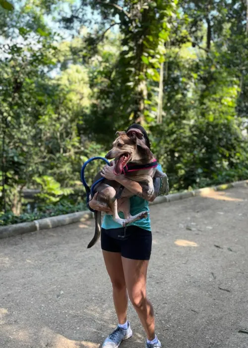 A recompensa para quem encontrar a cachorra é de R$ 5 mil