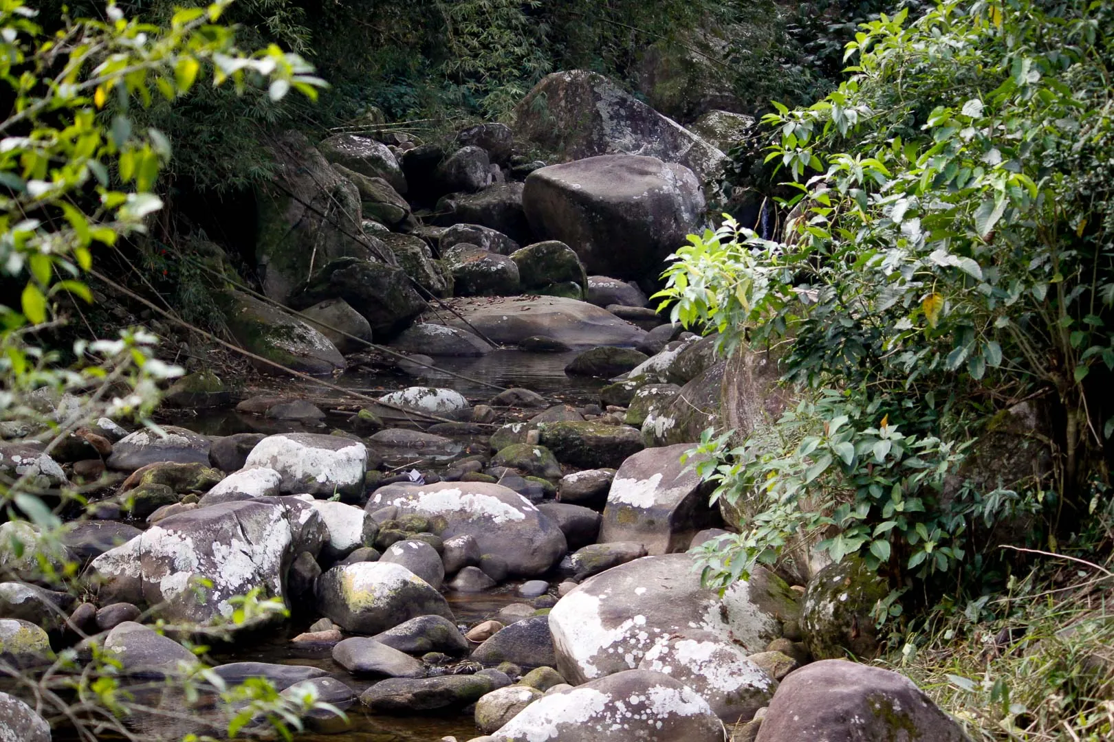 Cachoeira de Pau Grande - Magé