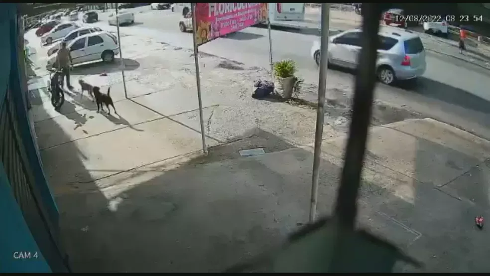 Imagens de câmeras de segurança do local filmaram a ação do homem contra o animal