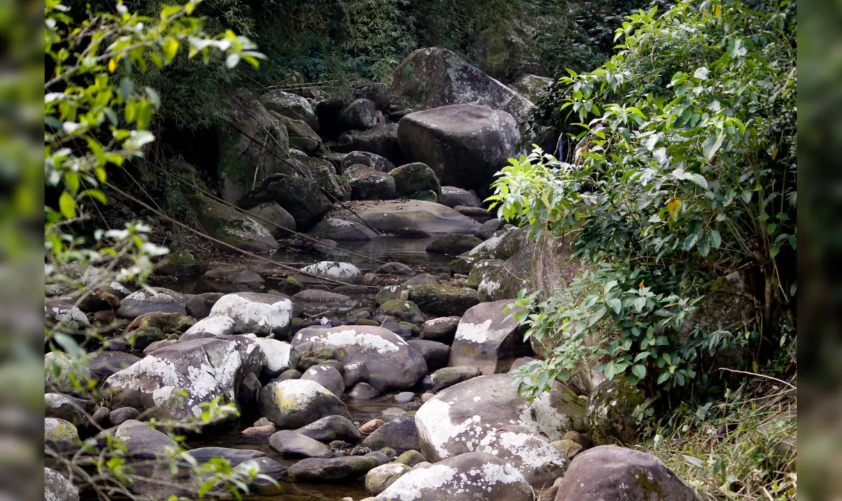 Cachoeira de Pau Grande - Magé