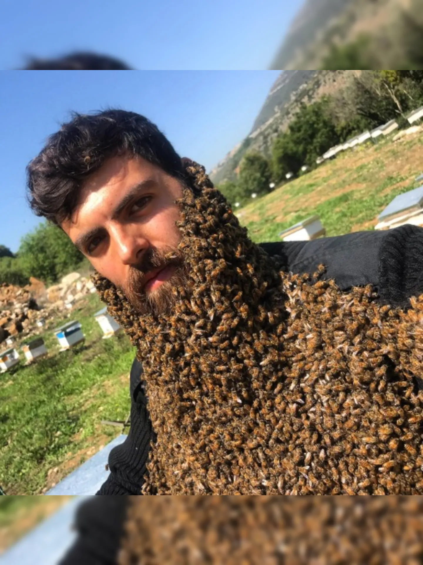 Johny Abou Rjeily com a barba coberta de abelhas