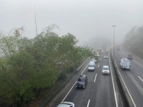 Forte neblina atrapalha o andamento do trânsito