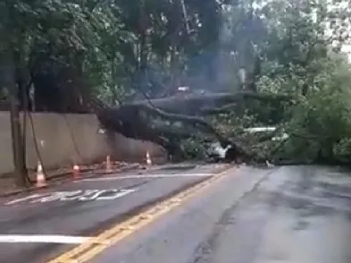 Carros não passam pela rua.