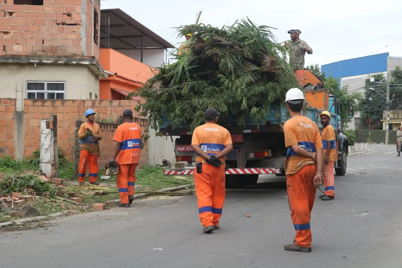 Profisisonais da prefeitura de Nova Iguaçu estiveram no local para a retirada o tronco