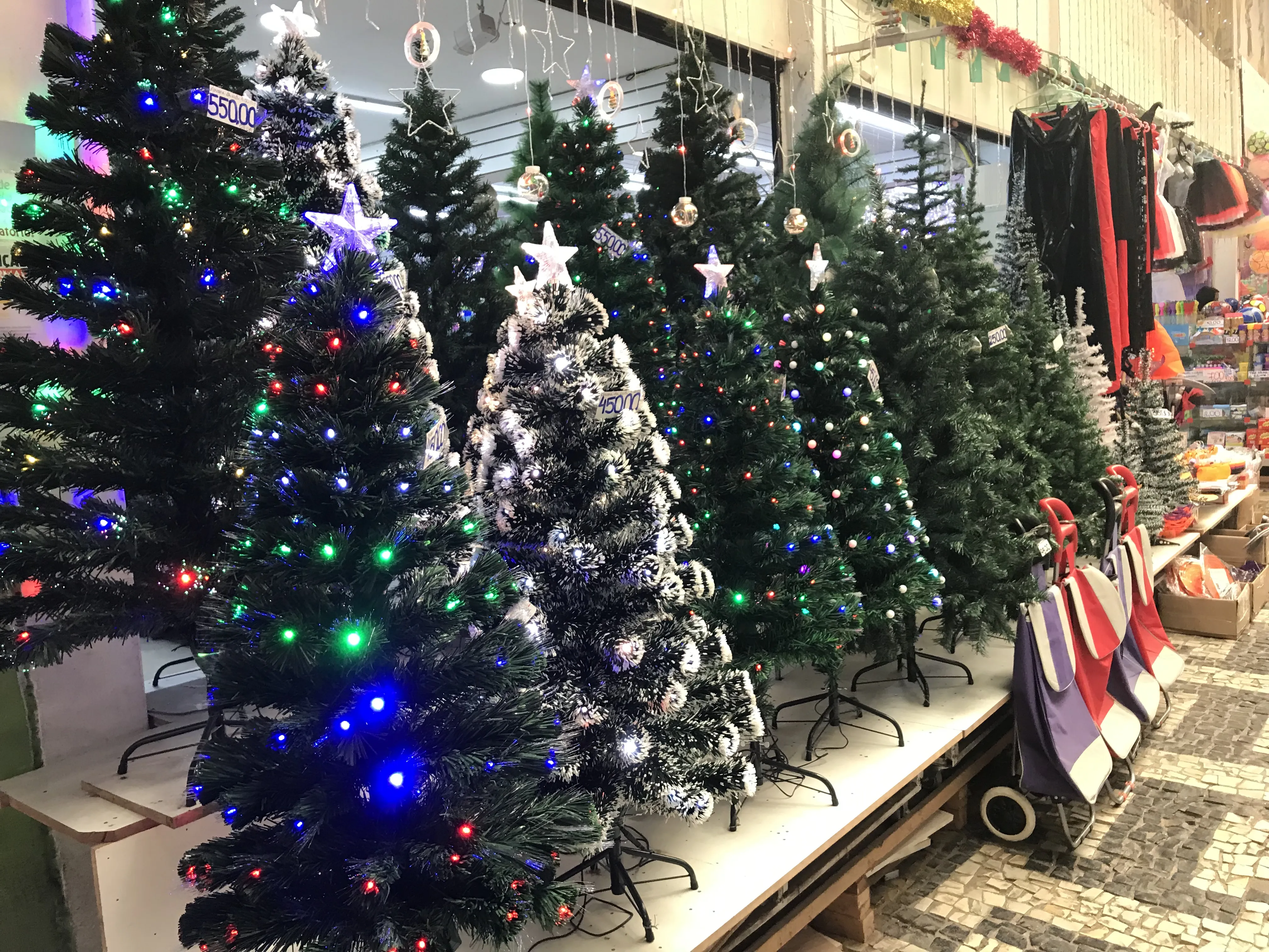 Árvores de Natal já ganham espaço no comércio
