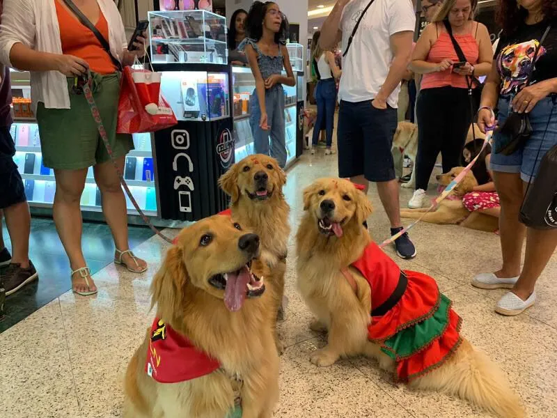 Os cachorros passearam por todo o shopping