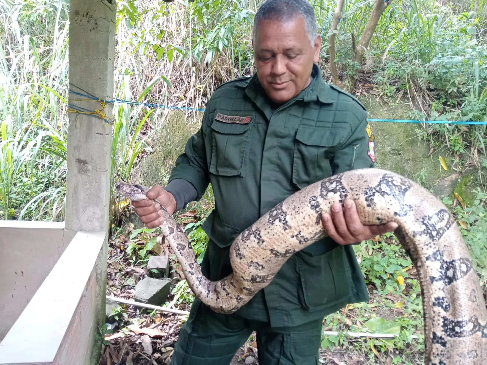 Os agentes fizeram o resgate da cobra, que estava em boas condições de saúde, e foi reintegrada ao seu habitat natural