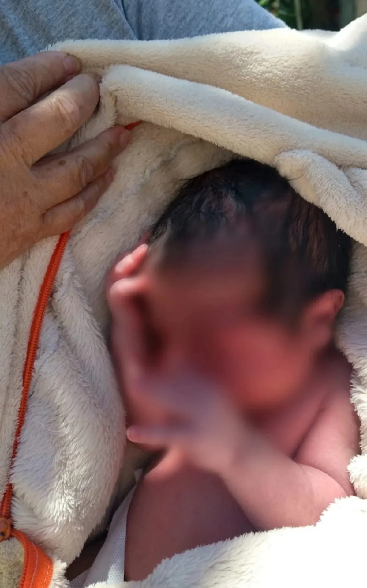 O bebê foi encontrado em um canteiro, com resto da placenta em seu corpo