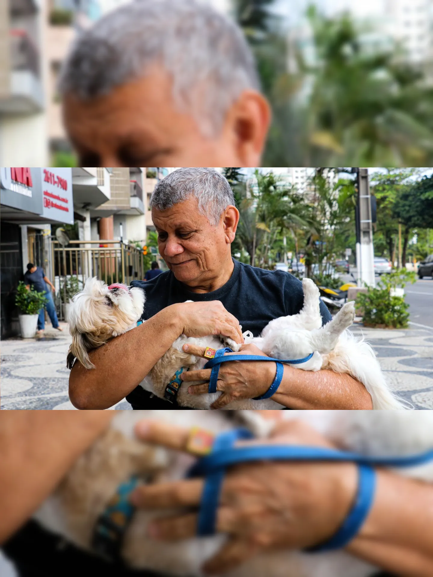 Homem faz carinho em seu cachorro na orla de Icaraí