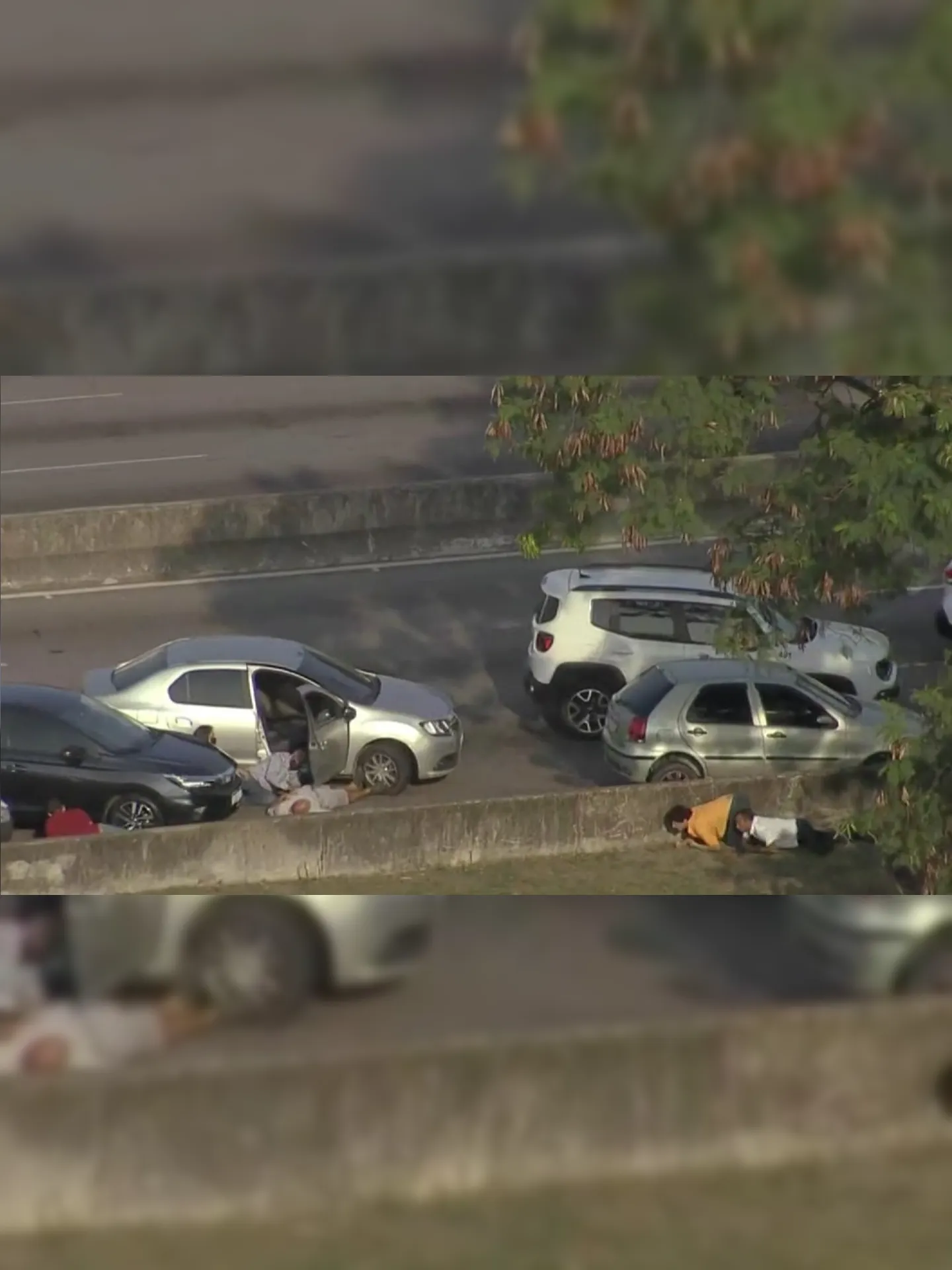 Imagens mostraram motoristas se rastejando no chão da via expressa