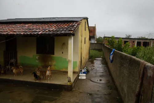 Os animais, segundo vizinhos, vivem em uma casa suja