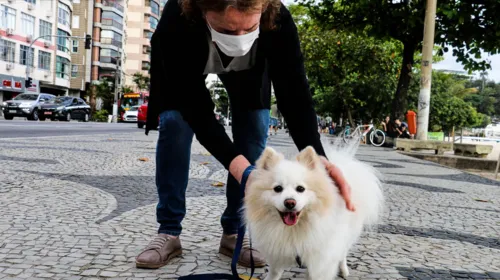 Senhora tenta pegar seu cachorro na orla de Icaraí