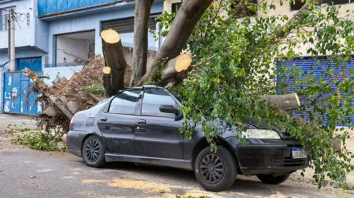 Veículo ficou completamente destruído