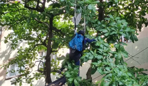 Homem ficou preso em árvore de Copacabana