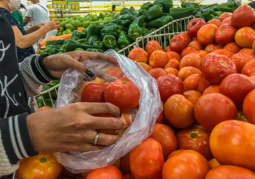 Preço do tomate tende a aumentar com a chegada do verão