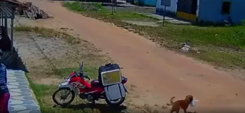 Homem não percebeu 'fuga' do animal faminto