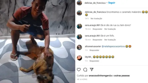 Restaurante recebe cachorro com carinho