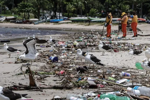 Novo projeto funcionará na Praia de Charitas