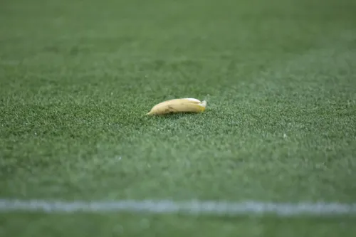 Torcedores da Tunísia arremessaram bananas em campo durante a comemoração dos jogadores brasileiros na hora do gol